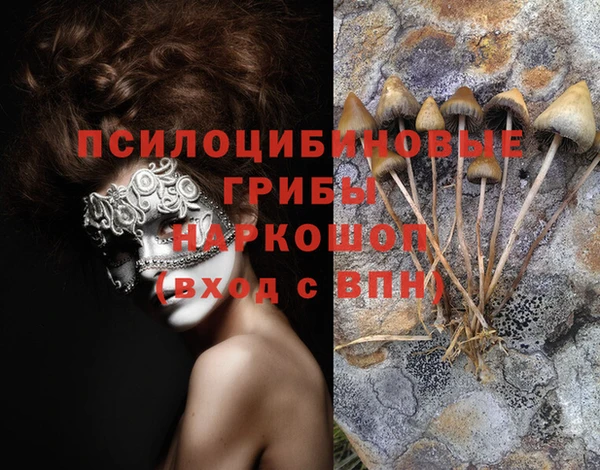 амф Карпинск