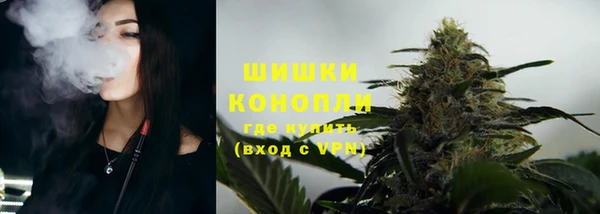 амф Карпинск