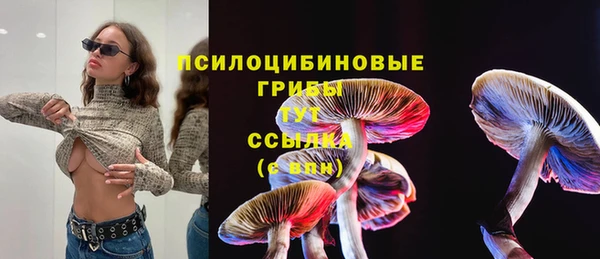 СК Каменск-Шахтинский