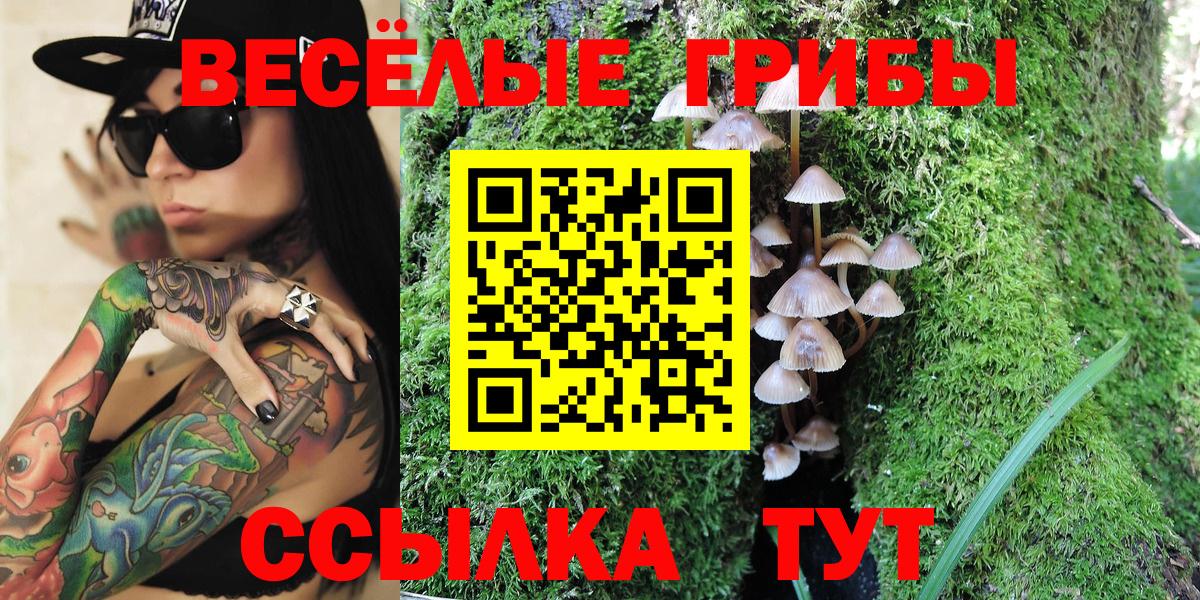 Псилоцибиновые грибы Psilocybe Кропоткин