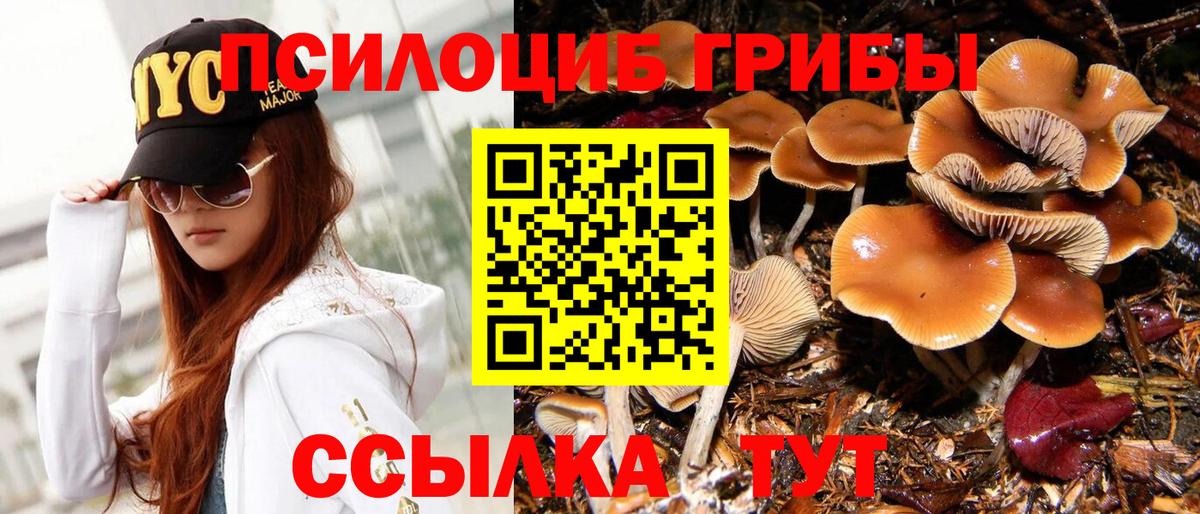 Кропоткин  Псилоцибиновые грибы прущие грибы  Галлюциногенные грибы Psilocybe  Вход с VPN 
