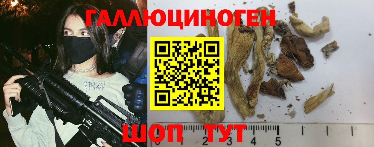 где продают наркотики  Кропоткин  Галлюциногенные грибы прущие грибы 