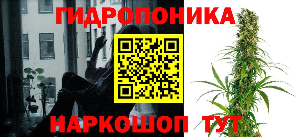 Канабис планчик  Кропоткин  Каннабис THC 21%  Бошки марихуана семена  МАРИХУАНА тримм 